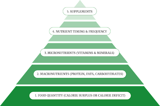 Modern Nutrition Protocol - Diet Tips - Mohammed Asfar Fitness